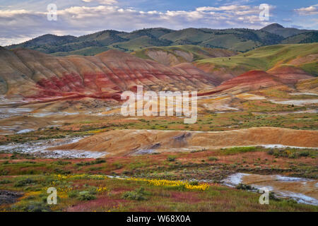 Il crepuscolo civile glow sulla primavera sbocciano i fiori di campo alla base delle colline dipinte in unità Oregon centrale John Day Fossil Beds. Foto Stock