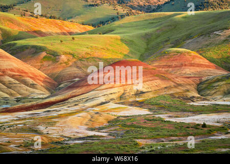 Il crepuscolo civile glow sulla primavera sbocciano i fiori di campo alla base delle colline dipinte in unità Oregon centrale John Day Fossil Beds. Foto Stock