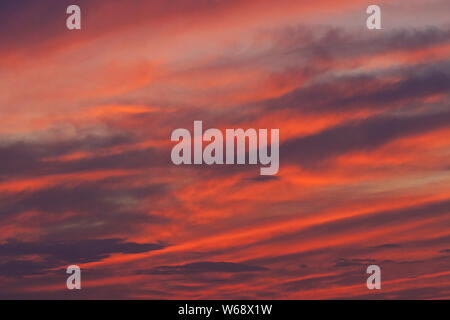 Drammatica e brillante bruciato-arancione e rosso tramonto nel Texas centrale Foto Stock