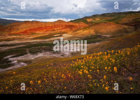 Il crepuscolo civile glow sulla primavera sbocciano i fiori di campo alla base delle colline dipinte in unità Oregon centrale John Day Fossil Beds. Foto Stock