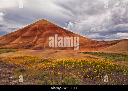 Il crepuscolo civile glow sulla primavera sbocciano i fiori di campo alla base delle colline dipinte in unità Oregon centrale John Day Fossil Beds. Foto Stock