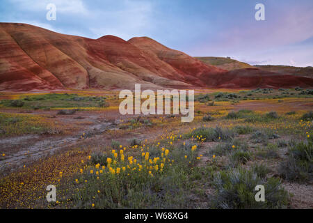 Il crepuscolo civile glow sulla primavera sbocciano i fiori di campo alla base delle colline dipinte in unità Oregon centrale John Day Fossil Beds. Foto Stock