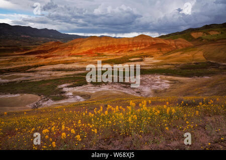 Il crepuscolo civile glow sulla primavera sbocciano i fiori di campo alla base delle colline dipinte in unità Oregon centrale John Day Fossil Beds. Foto Stock