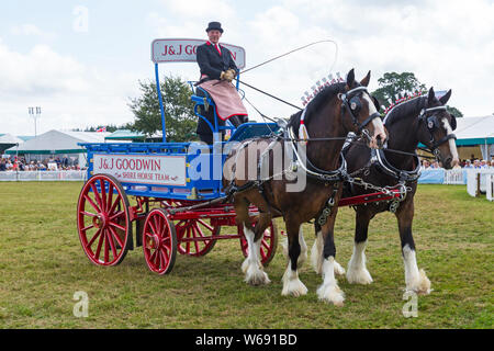 Brockenhurst, Hampshire, Regno Unito. Il 31 luglio 2019. Migliaia accorrono per la seconda giornata della nuova foresta & Hampshire County Visualizza per godere gli animali e le attività. Credito: Carolyn Jenkins/Alamy Live News Foto Stock