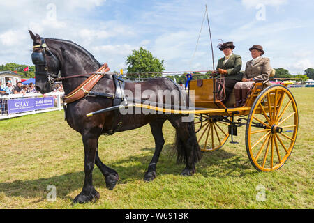 Brockenhurst, Hampshire, Regno Unito. Il 31 luglio 2019. Migliaia accorrono per la seconda giornata della nuova foresta & Hampshire County Visualizza per godere gli animali e le attività. Credito: Carolyn Jenkins/Alamy Live News Foto Stock