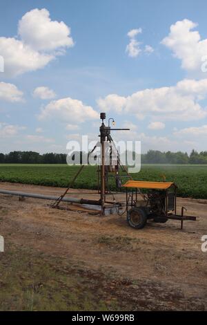 Un campo di patate getting irrigato Foto Stock