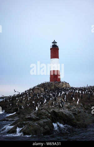 Ushuaia, Tierra del Fuego - Luglio 2019: les eclaireurs lighthouse circondato con il mare di uccelli nel Canale di Beagle in Ushuaia, Tierra del Fuego Foto Stock