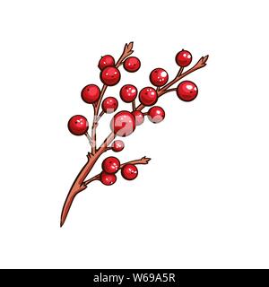 Natale berry holly o ilex. Red xmas succursale con bacche rosse. Inverno aquifolium lascia il decor. Natale berry isolato tradizionale simbolo del vettore Illustrazione Vettoriale