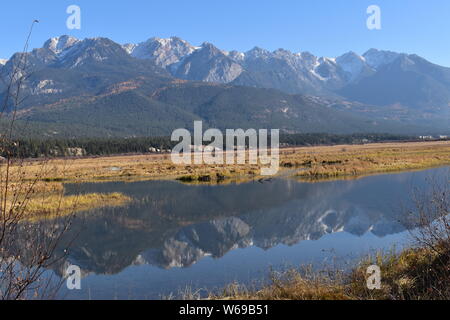 Le sorgenti del fiume Columbia come esso si snoda attraverso BC la Columbia Valley Foto Stock