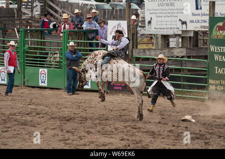 Questo cowboy è bull riding all annuale 4 di luglio rodeo Loggerodeo in Sedro Woolley, Wa. Uno dei la più lunga di rodeo in stato di lavaggio. Foto Stock