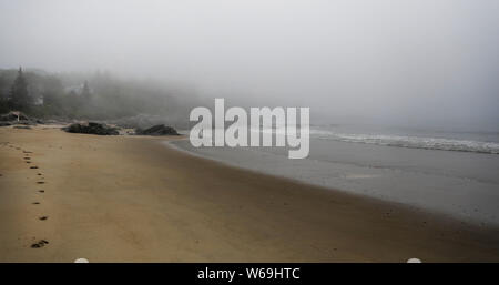 Mattinata nebbiosa vista della costa in Nuova Inghilterra, Stati Uniti d'America. Foto Stock