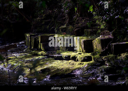 Formazione di roccia coperte di muschio presso la banca di un fiume illuminato dal tramonto negli altopiani delle montagne andine della Colombia centrale. Foto Stock