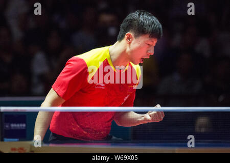 Ma a lungo della Cina pone a celebrare dopo aver sconfitto la ventola Zhendong della Cina nella loro uomini singoli match finale durante il Seamaster 2018 ITTF World Tour Foto Stock