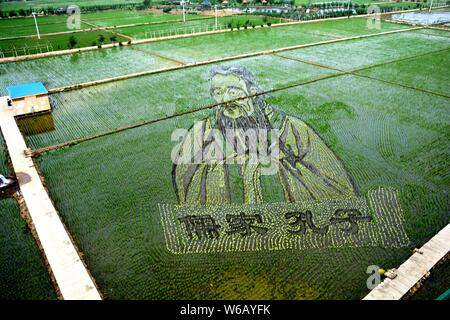 Un 3D di riso paddy pittura cinese di antico maestro e filosofo Confucio viene visualizzato in risaie in Shenyang City, a nord-est della Cina di Liaonin Foto Stock