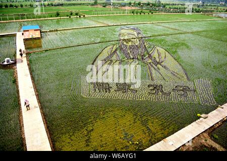 Un 3D di riso paddy pittura cinese di antico maestro e filosofo Confucio viene visualizzato in risaie in Shenyang City, a nord-est della Cina di Liaonin Foto Stock