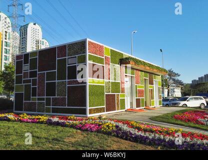 La magia a forma di cubo wc pubblico è decorata con forma quadrata di piante in diversi colori a Pechino, in Cina, il 3 maggio 2018. Un wc pubblico featur Foto Stock
