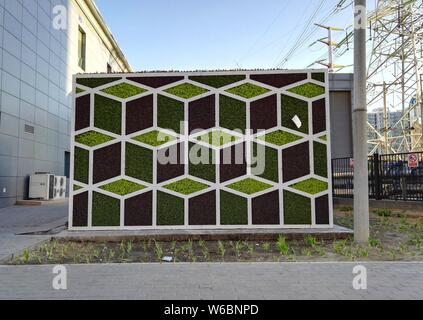 La magia a forma di cubo wc pubblico è decorata con forma quadrata di piante in diversi colori a Pechino, in Cina, il 3 maggio 2018. Un wc pubblico featur Foto Stock