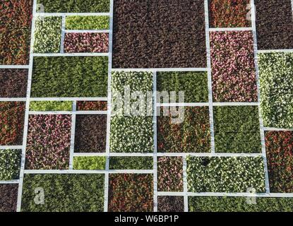 La magia a forma di cubo wc pubblico è decorata con forma quadrata di piante in diversi colori a Pechino, in Cina, il 3 maggio 2018. Un wc pubblico featur Foto Stock