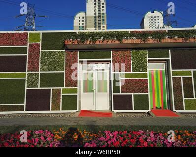La magia a forma di cubo wc pubblico è decorata con forma quadrata di piante in diversi colori a Pechino, in Cina, il 3 maggio 2018. Un wc pubblico featur Foto Stock