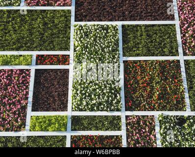 La magia a forma di cubo wc pubblico è decorata con forma quadrata di piante in diversi colori a Pechino, in Cina, il 3 maggio 2018. Un wc pubblico featur Foto Stock