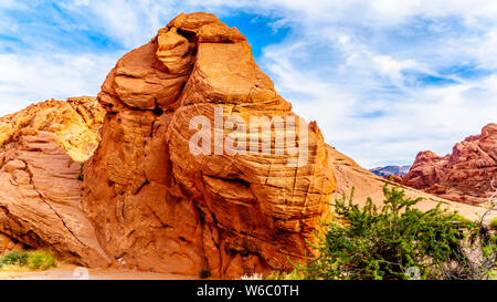 La colorata di rosso, giallo e bianco arenaria formazioni rocciose lungo la cupola bianco Trail nel il Parco della Valle di Fire State in Nevada, STATI UNITI D'AMERICA Foto Stock