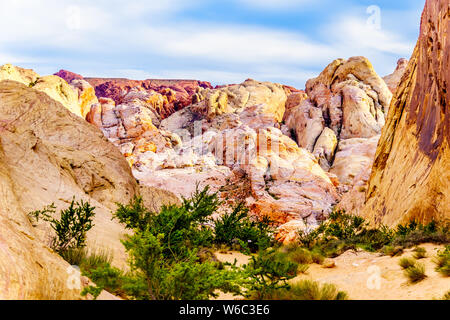 La colorata di rosso, giallo e bianco arenaria formazioni rocciose lungo la cupola bianco Trail nel il Parco della Valle di Fire State in Nevada, STATI UNITI D'AMERICA Foto Stock