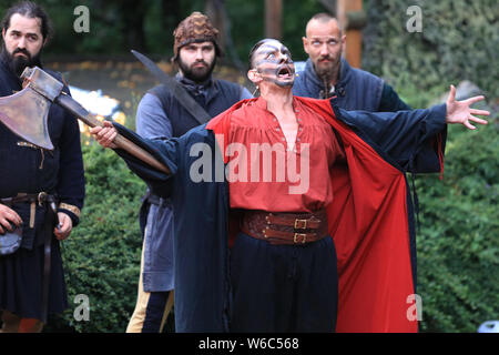 Altenbrak, Germania. 31 Luglio, 2019. Cavalletto di attori sul palco durante una prova. Il venerdì, 02.08.2019 La prima performance di 'Laroranja', una fantasia musical circa il cielo Nebra disco, avrà luogo. Intorno 40 attori e comparse giocherà nel gioco. Credito: Pietro Gercke/dpa-Zentralbild/dpa/Alamy Live News Foto Stock