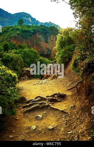 Tramonto su un paesaggio di montagna in Marocco. Nella foto - un percorso in una fitta foresta in montagna, il percorso che conduce. Foto Stock