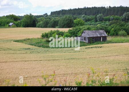 Abbandonato casa in legno nel centro del campo Foto Stock