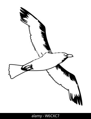 Seagull bird flying isolato cartoon in bianco e nero Illustrazione Vettoriale