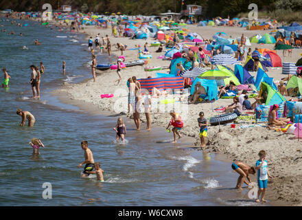 24 luglio 2019, Meclemburgo-Pomerania, Rerik: Full spiagge con le elevate temperature estive al Mar Baltico. Temperature fino a trenta gradi attrarre turisti e visitatori giornalieri a costa del Mar Baltico. Foto: Jens Büttner/dpa-Zentralbild/ZB Foto Stock