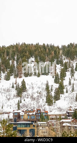Case verticale su una montagna con lussureggianti alberi di conifere in crescita sulla coperta di neve pendenza Foto Stock