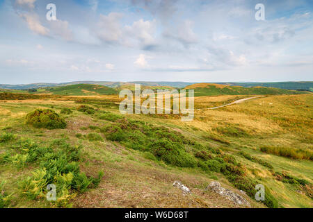 Robusto moorland sulle pendici della collina di Gilwern vicino a Llandrindod Wells in POWYS, GALLES Foto Stock