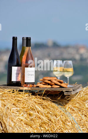 Le bottiglie e i bicchieri di vino Sancerre e biscotti. Bianco, rosa e vino rosso. Avviso: autorizzazione per qualsiasi uso editoriale rispettando la didascalia e co Foto Stock