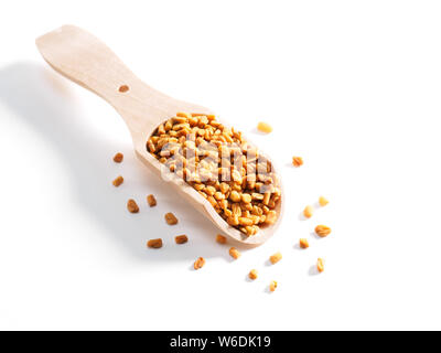 Fenugreek (Trigonella) in un cucchiaio di legno su sfondo bianco Foto Stock