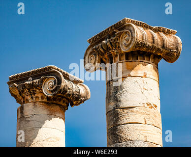 Antiche rovine con colonne ioniche a Laodiceia, Turchia Foto Stock