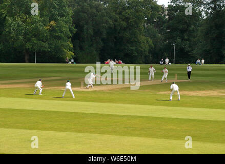 Battitore e Fielders in azione in un inglese di cricket a Arundel Castle Cricket Club Foto Stock