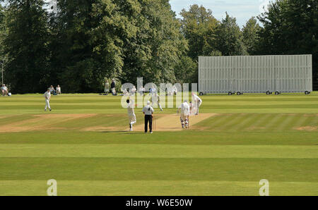 Battitore e Fielders in azione in un inglese di cricket a Arundel Castle Cricket Club Foto Stock