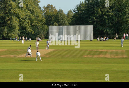 Battitore e Fielders in azione in un inglese di cricket a Arundel Castle Cricket Club Foto Stock