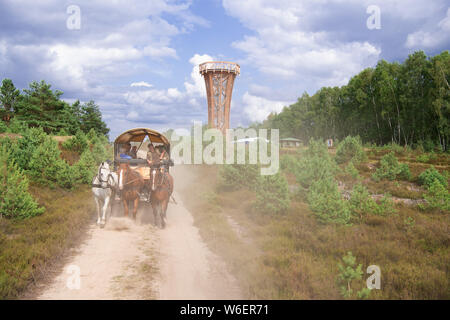 Pfalzheim, Germania. 17 Luglio, 2019. Una carrozza trainata da cavalli rigidi in Sielmann del paesaggio naturale Kyritz-Ruppiner Heide. Il legno Sielmann torre sorge in background. I motivi dell'ex bombodrome può essere esplorato in calesse, in bicicletta o a piedi. Credito: Soeren Stache/dpa/ZB/dpa/Alamy Live News Foto Stock