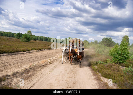 Pfalzheim, Germania. 17 Luglio, 2019. Una carrozza trainata da cavalli rigidi in Sielmann del paesaggio naturale Kyritz-Ruppiner Heide. Il legno Sielmann torre sorge in background. I motivi dell'ex bombodrome può essere esplorato in calesse, in bicicletta o a piedi. Credito: Soeren Stache/dpa/ZB/dpa/Alamy Live News Foto Stock