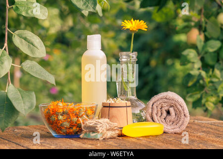 Prodotti per il benessere e gli accessori. Vaso di vetro con fiori di calendula, sapone, bottiglia con estratto di calendula, ciotola di legno secco con fiori di camomilla e rimorchio Foto Stock