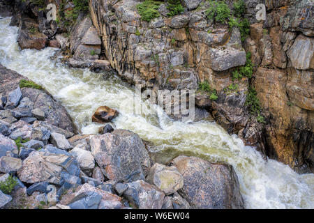 La Cache Poudre River a Poudre Falls - Vista aerea in estate con portata elevata Foto Stock