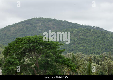 Bellissima vista della gamma della montagna di riserva Talamal foresta, Hasanur, Tamil Nadu - lo stato di Karnataka frontiera, India Foto Stock