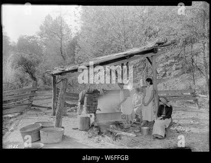 In basso bollente sorgo al Stooksberry homestead vicino Andersonville, Tennessee. Foto Stock