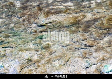 Scheissentumpel cascata, Mullerthal Lussemburgo Foto Stock