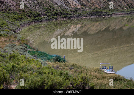 Impianto spray tech vegetazione invasiva lungo le rive del fiume Verde, Wyoming. Foto Stock