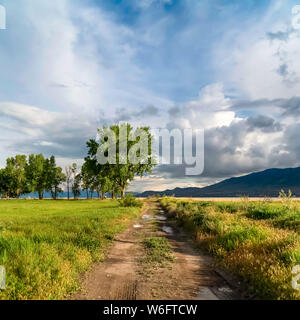 Square strada sterrata su un campo erboso con alberi lago e vista sulla montagna contro il cielo nuvoloso Foto Stock