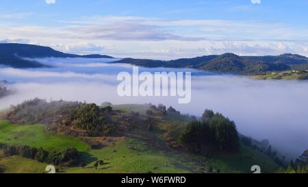 Altitudine bassa vista aerea durante la mattina con le nuvole basse che si muove intorno alla foresta Valdivian Foto Stock