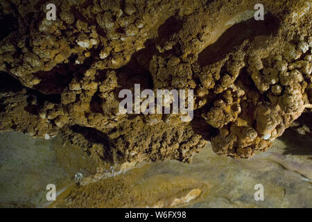 Una parte delle Grotte di Koneprusy, sistema di cave di calcare la regione conosciuta come il Carso boemo, è visibile sulla luglio 31, 2019, Koneprusy, Repubblica Ceca. (CTK foto/Michaela Rihova) Foto Stock